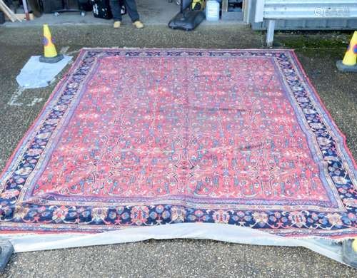 A huge Oriental rug 414 x 326 cm