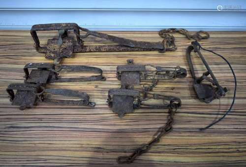 A collection of antique animal traps. 60cm (6).