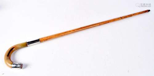 A horn handled walking cane with silver collars 87 cm.