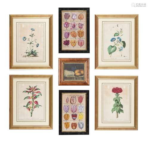 A SET OF FOUR HAND-COLOURED ENGRAVINGS OF FLOWERS