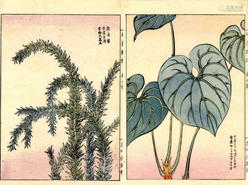 Yamana, Yuseki  Kachoe (Zwei Einzelbuchseite, Buch 1893)