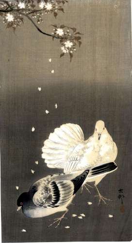 Koson, Ohara 1877-1945 Shin hanga (O-Tanzaku), Verlag Daikoy...