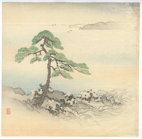 Kogyo Tsukioka, Pine Tree, Original Japanese Woodblock Print