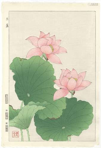 Shodo Kawarazaki, Lotus, Original Japanese Woodblock Print