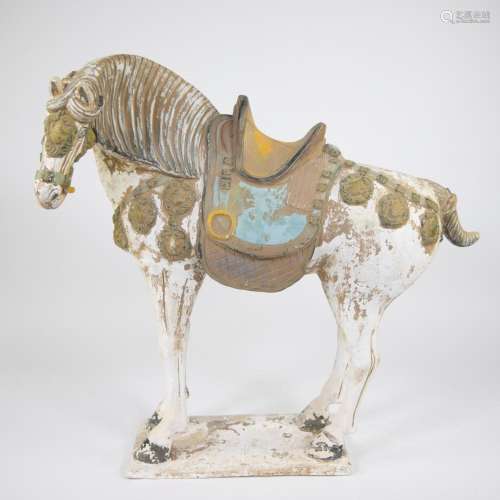 Chinese terracotta horse