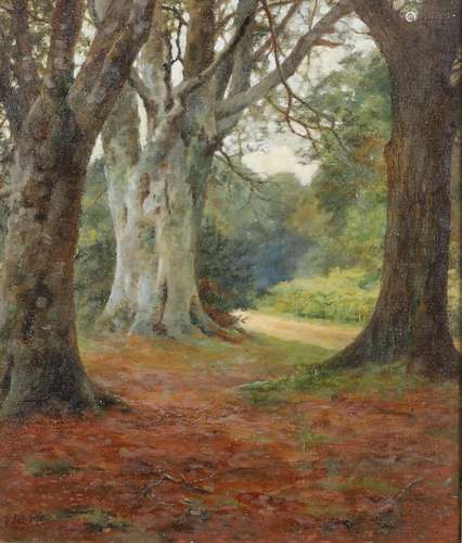 FRANCES MABEL HOLLAMS (1877-1963). A WOODLAND GLADE. (d)