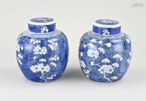 Two Chinese ginger jars