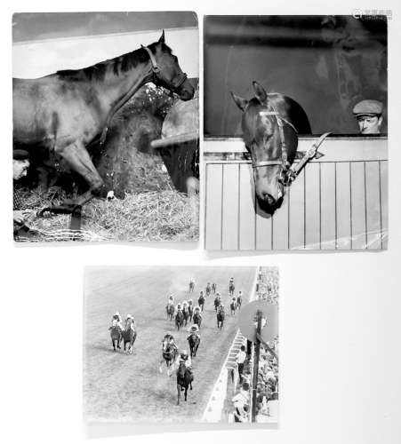 Three horse riding photographs
