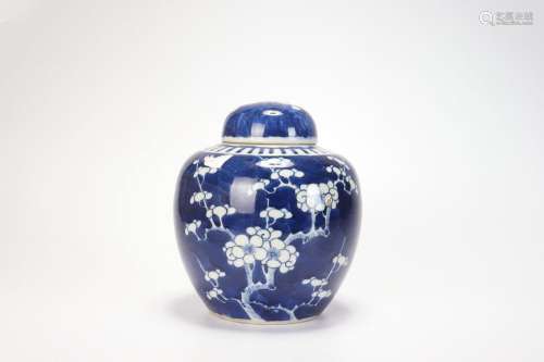 Jarre à prunes bleue et blanche de la dynastie Qing