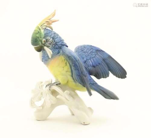 A Karl Ens model of a Parrot / Cockatoo perched on a branch....