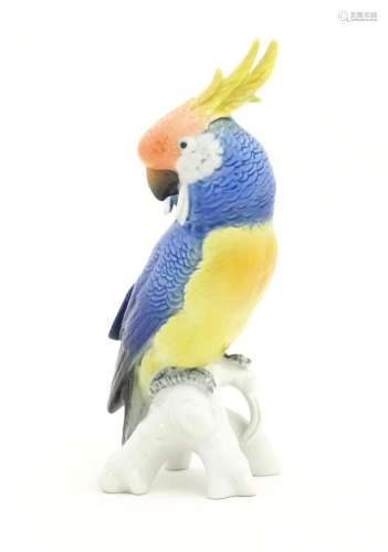 A Karl Ens model of a Parrot / Cockatoo perched on a branch....
