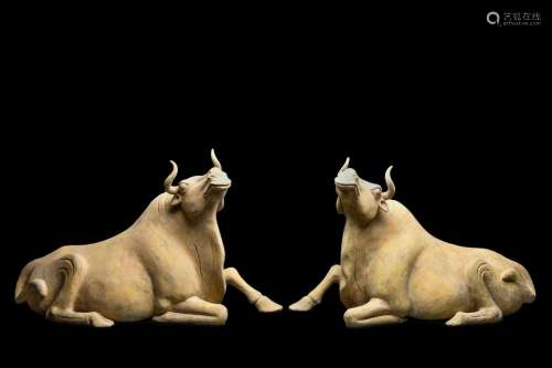 PAIR OF LARGE CHINESE TANG DYNASTY POTTERY OXEN - TL TESTED<...