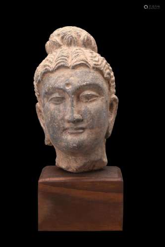 GANDHARAN SCHIST HEAD OF BUDDHA