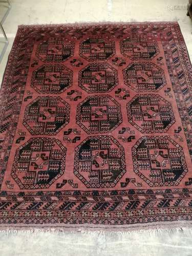 An Bokhara red ground rug, 180 x 156cm