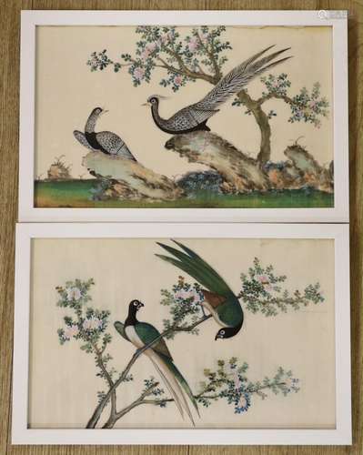 19th Century Chinese School, two gouaches on pith paper, stu...