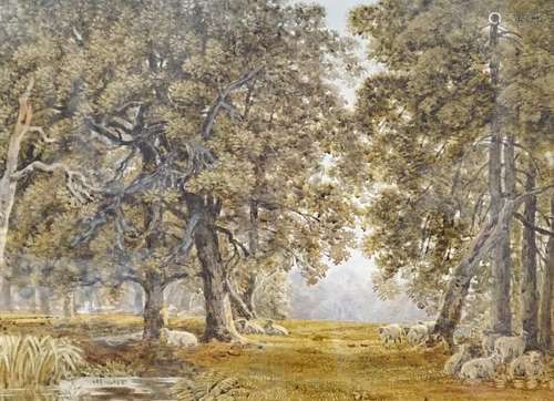 Attributed to George Barrett (1767-1842), watercolour, Sheep...