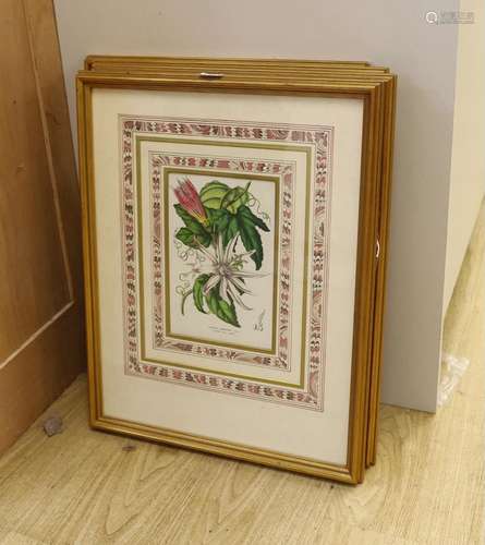 A set of four Victorian hand coloured lithographs of exotic ...