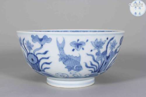 A blue and white weed and fish porcelain bowl