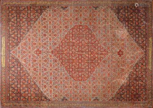 TAPIS Senneh (chaîne et trame en coton, velours en laine), N...