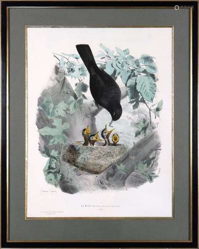 TRAVIES Edouard (1809-circa 1869) : Suite de sept lithograph...