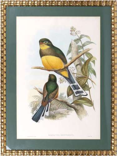 John H. GOULD et William M. ART (XIXème) : Cinq lithographie...