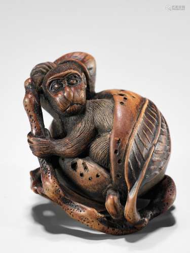 TOYOSHIMA: A FINE WOOD NETSUKE OF A MONKEY EMERGING FROM A P...