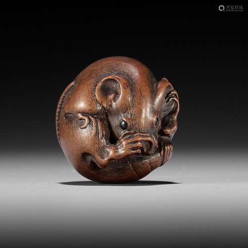 ITTAN: A FINE WOOD NETSUKE OF A COILED RAT