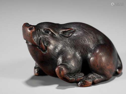 ITTAN: A SUPERB WOOD NETSUKE OF A WILD BOAR