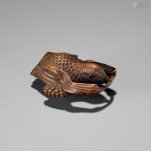 A FINE TANBA SCHOOL WOOD NETSUKE OF A QUAIL AND MILLET