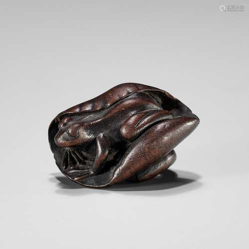 SHUGETSU: A WOOD NETSUKE OF A FROG ON A LOTUS LEAF