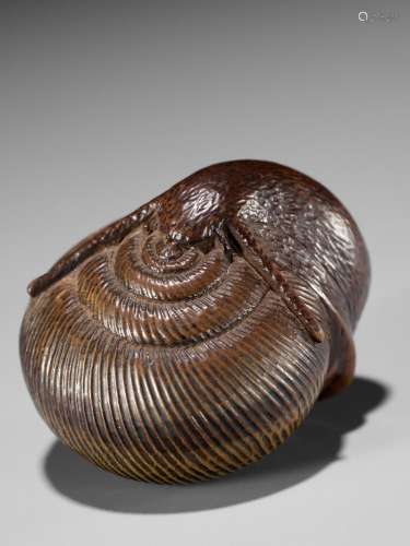 SARI: A FINE WOOD NETSUKE OF A SNAIL EMERGING FROM ITS SHELL