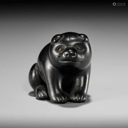 MINKO: A CHARMING EBONY WOOD NETSUKE OF A PUPPY