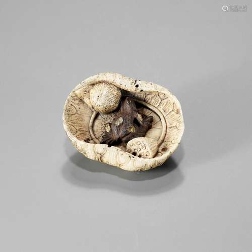 A RARE STAG ANTLER AND IRON NETSUKE DEPICTING A FROG ON A LO...