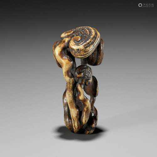 【†】 A STAG ANTLER NETSUKE OF REISHI FUNGI