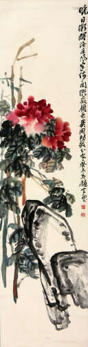 赵云壑 1874-1955 菊石图