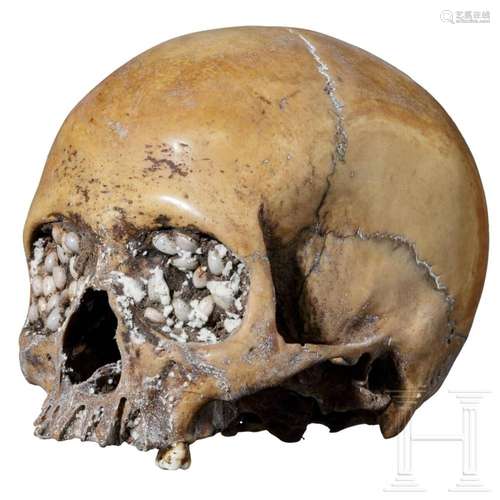 A Papua New Guinean ancestor skull of the Asmat