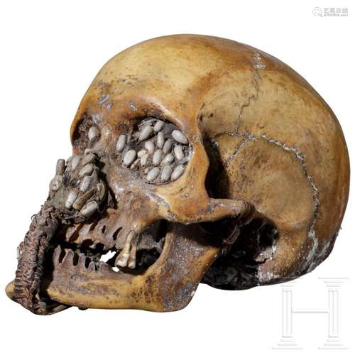 A Papua New Guinean ancestor skull of the Asmat