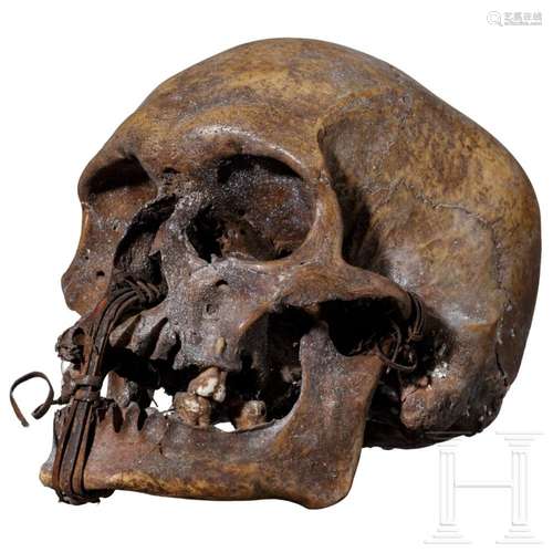 A Papua New Guinean ancestor skull of the Asmat