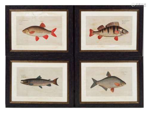 SET OF FOUR FRENCH ICHTHYOLOGICAL PRINTS