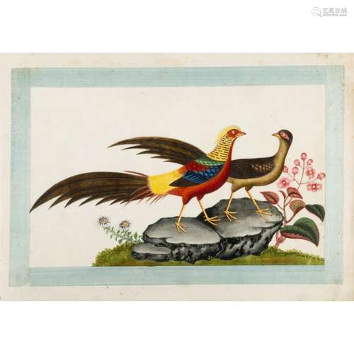 AN ALBUM OF TWELVE LEAVES EXOTIC BIRDS STUDIES QING DYNASTY,...