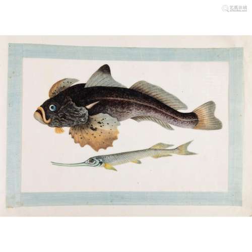 AN ALBUM OF TWELVE LEAVES EXOTIC FISHES STUDIES QING DYNASTY...