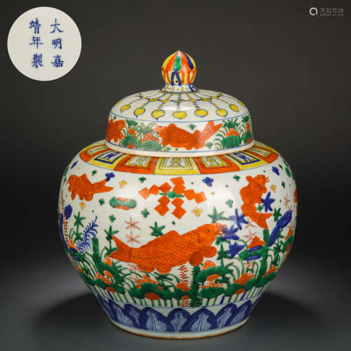Ming Dynasty five-color fish and algae pattern lid jar