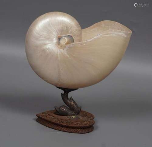 MOTHER O'PEARL NAUTILUS SHELL