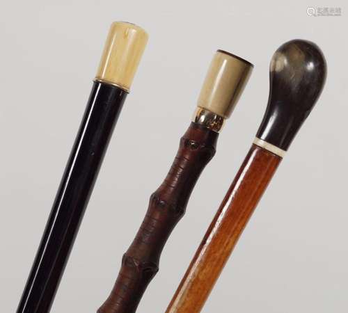 3 INTERESTING EARLY 20TH-CENTURY WALKING STICKS