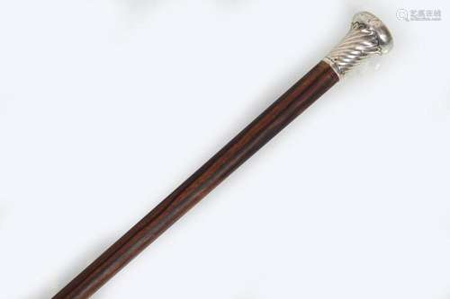 EDWARDIAN WALKING STICK