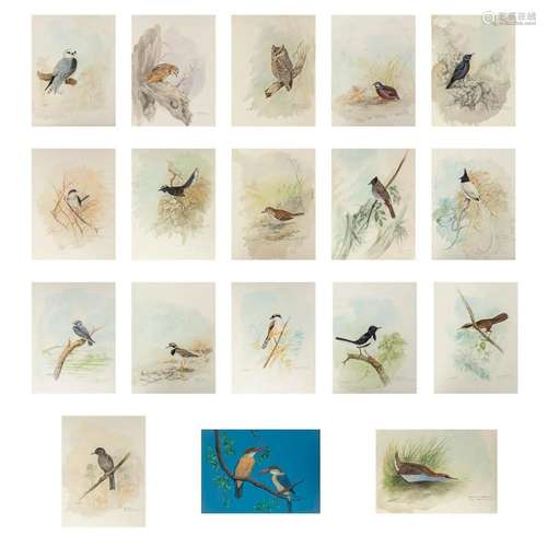 Gamini P. RATNAVIRA (1949) 'Birds' watercolour on pa...