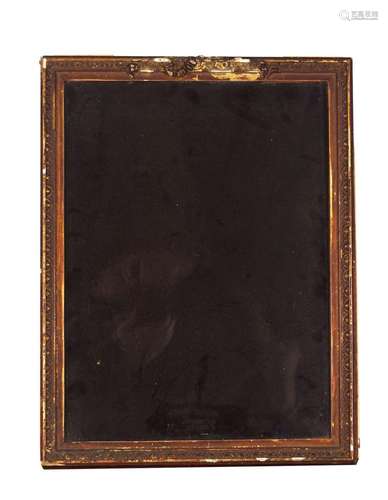 19TH-CENTURY FRAMED COLLECTOR'S CABINET