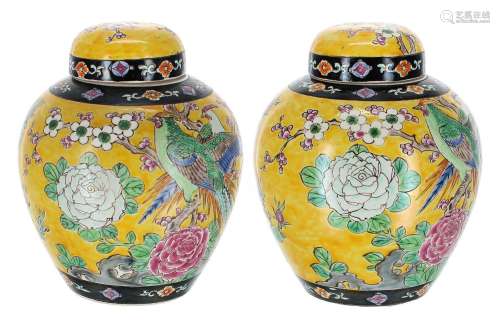 Pair of Chinese porcelain ginger jars and covers, each decor...