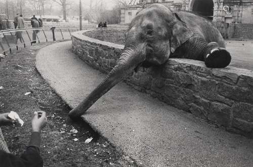 GARRY WINOGRAND (1928–1984)