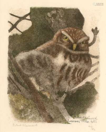Robert Hainard (1906-1999)Little OwlSigned and numbered 46/7...